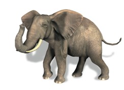 3CC_01_elefante_bd_011818.tif                                  00004DD0Ed_Textos_ImgBaja_10           7C276FEC: